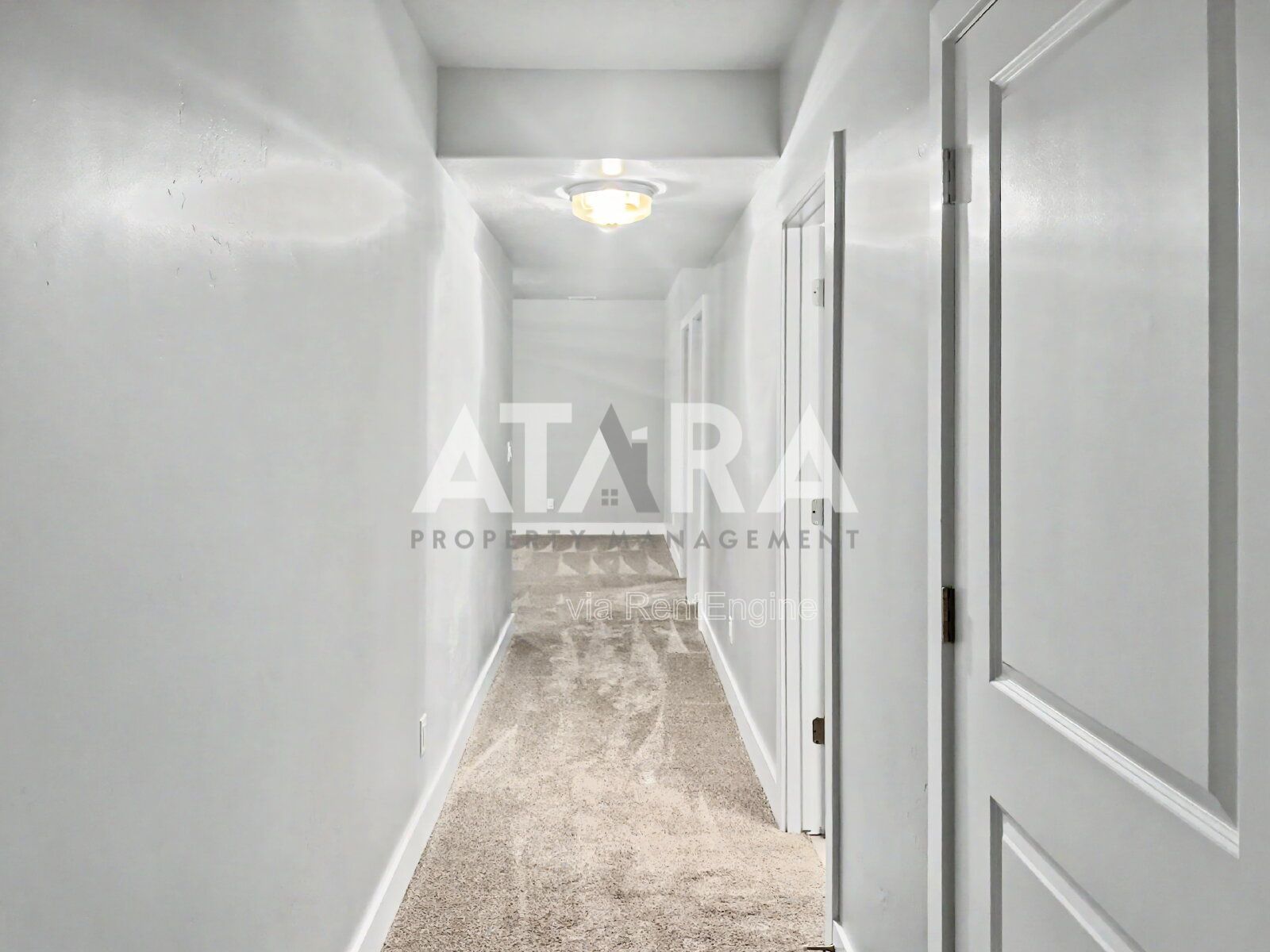 Gallery Image 51