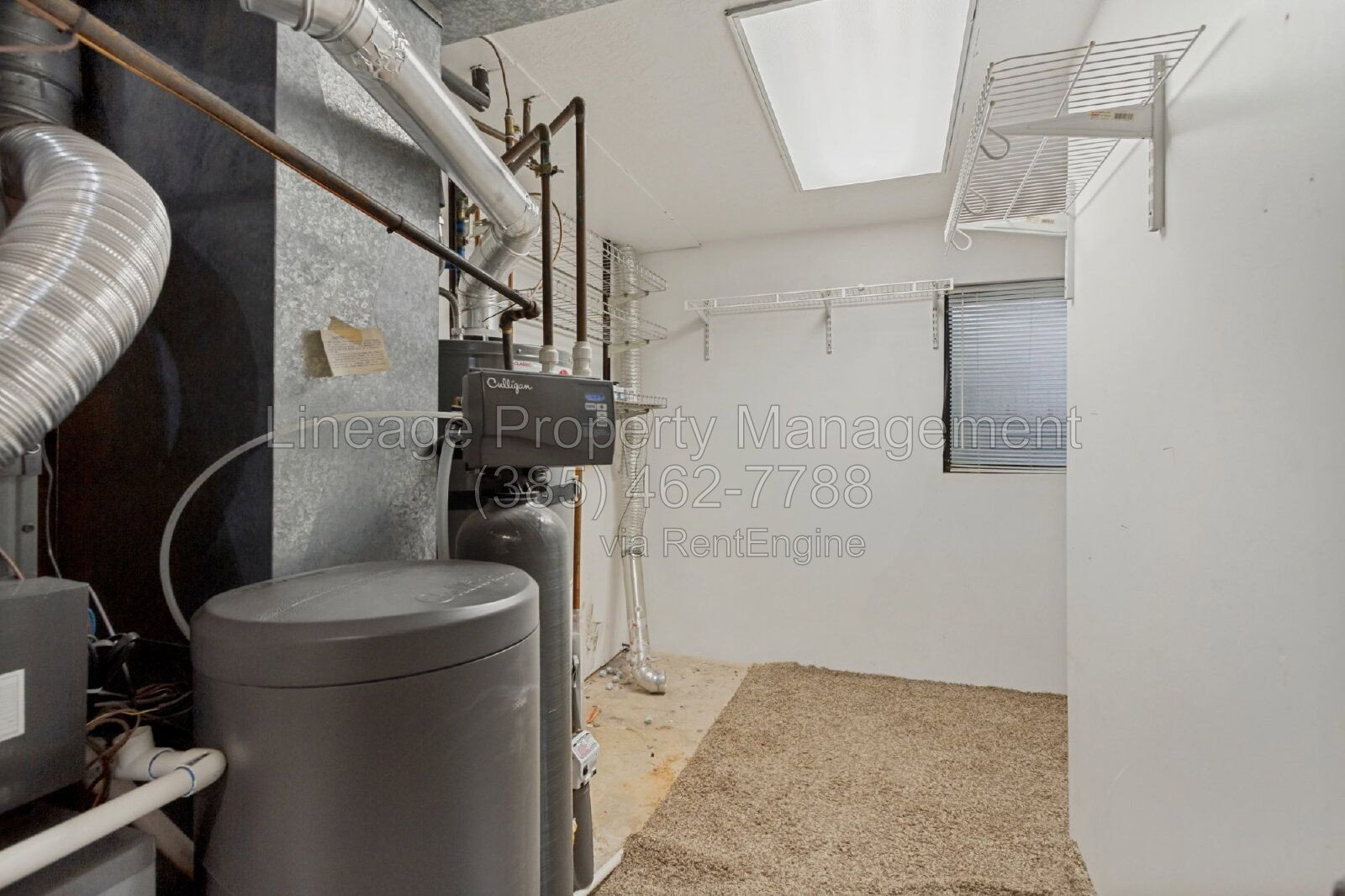 Gallery Image 23
