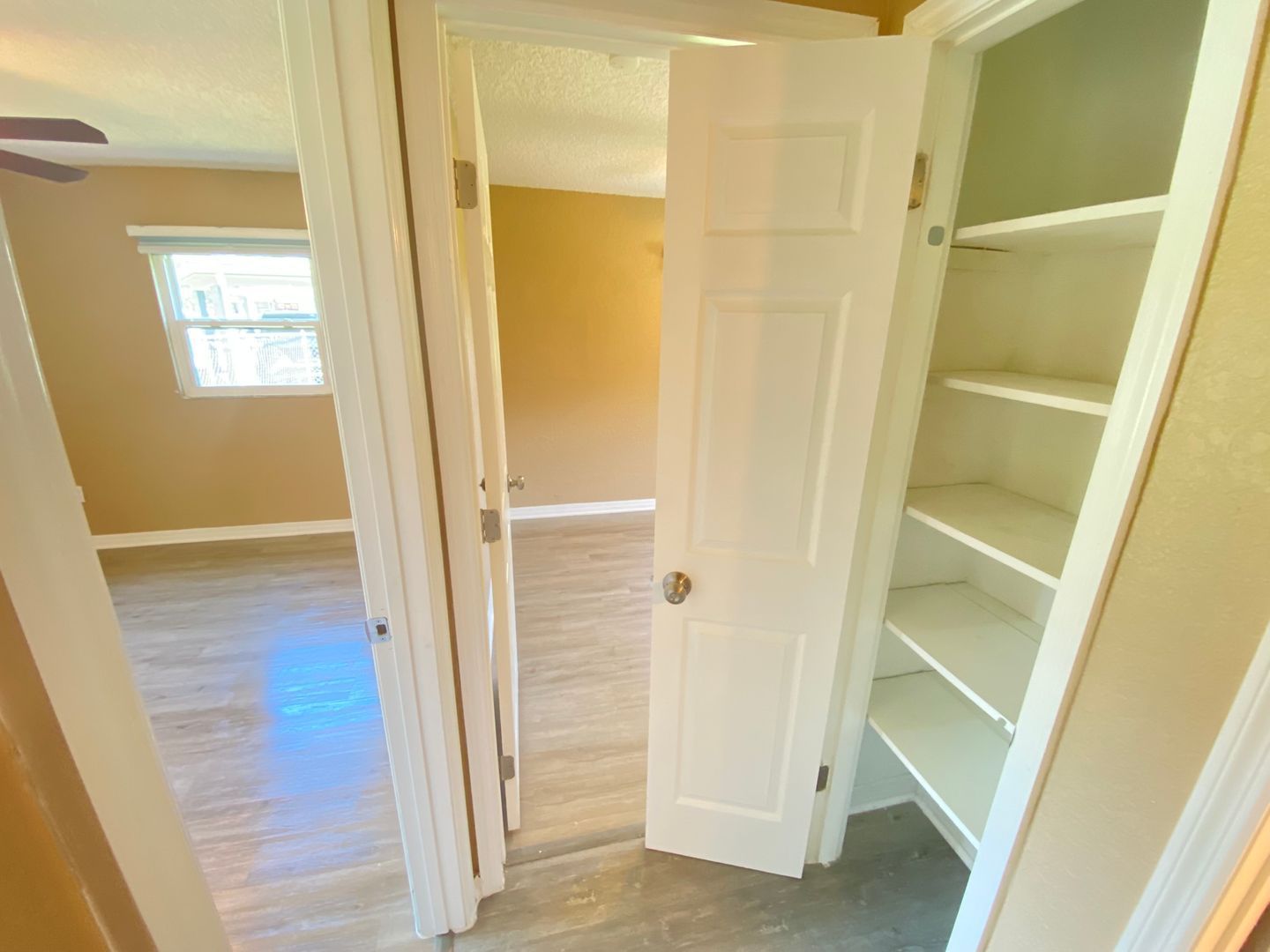 Gallery Image 19