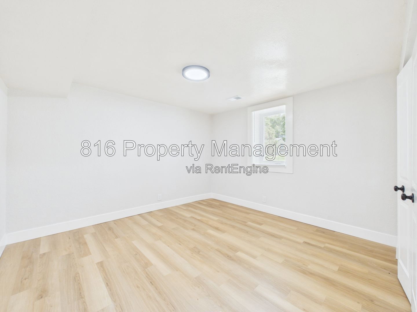 Gallery Image 16
