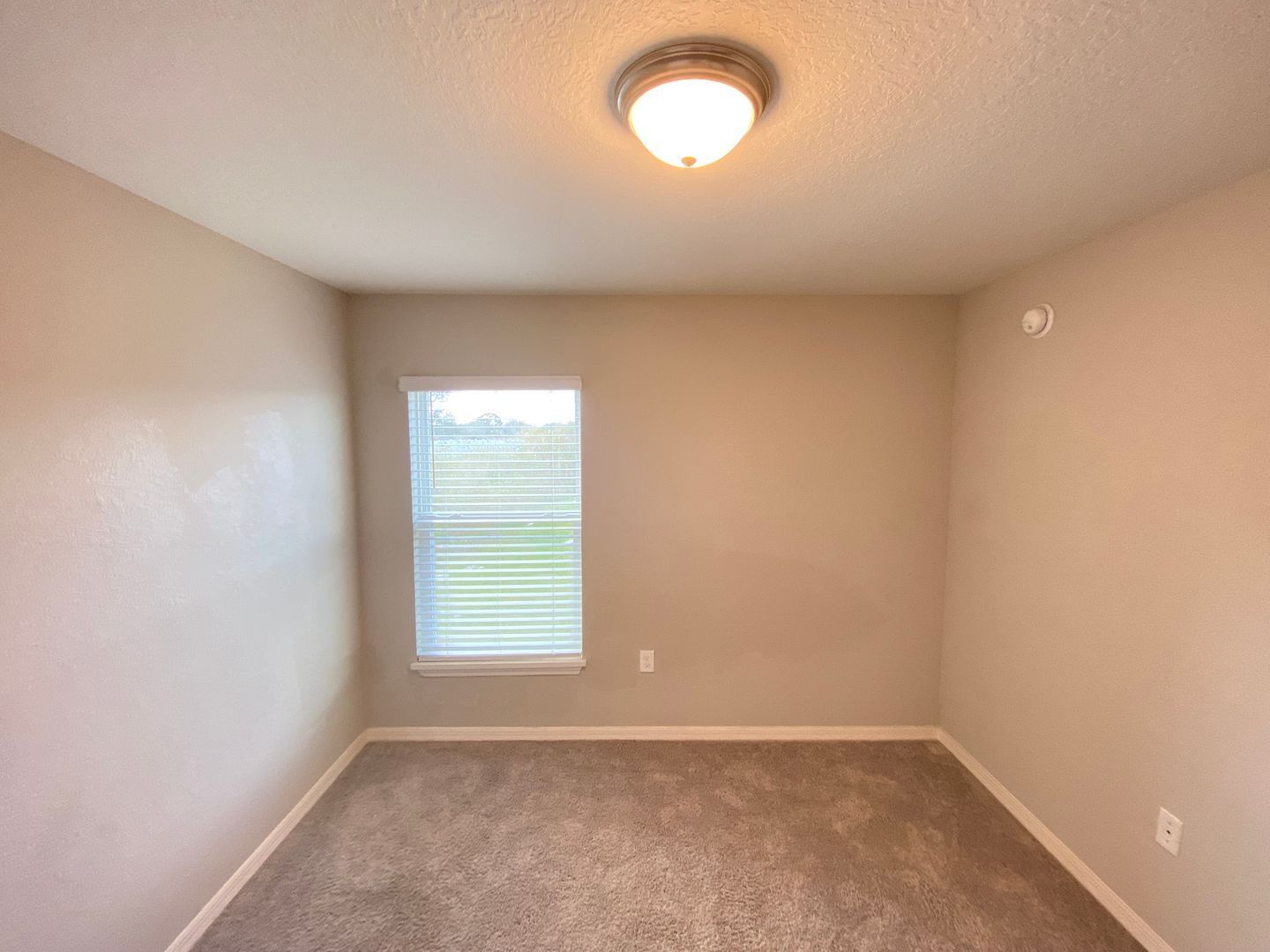 Gallery Image 19