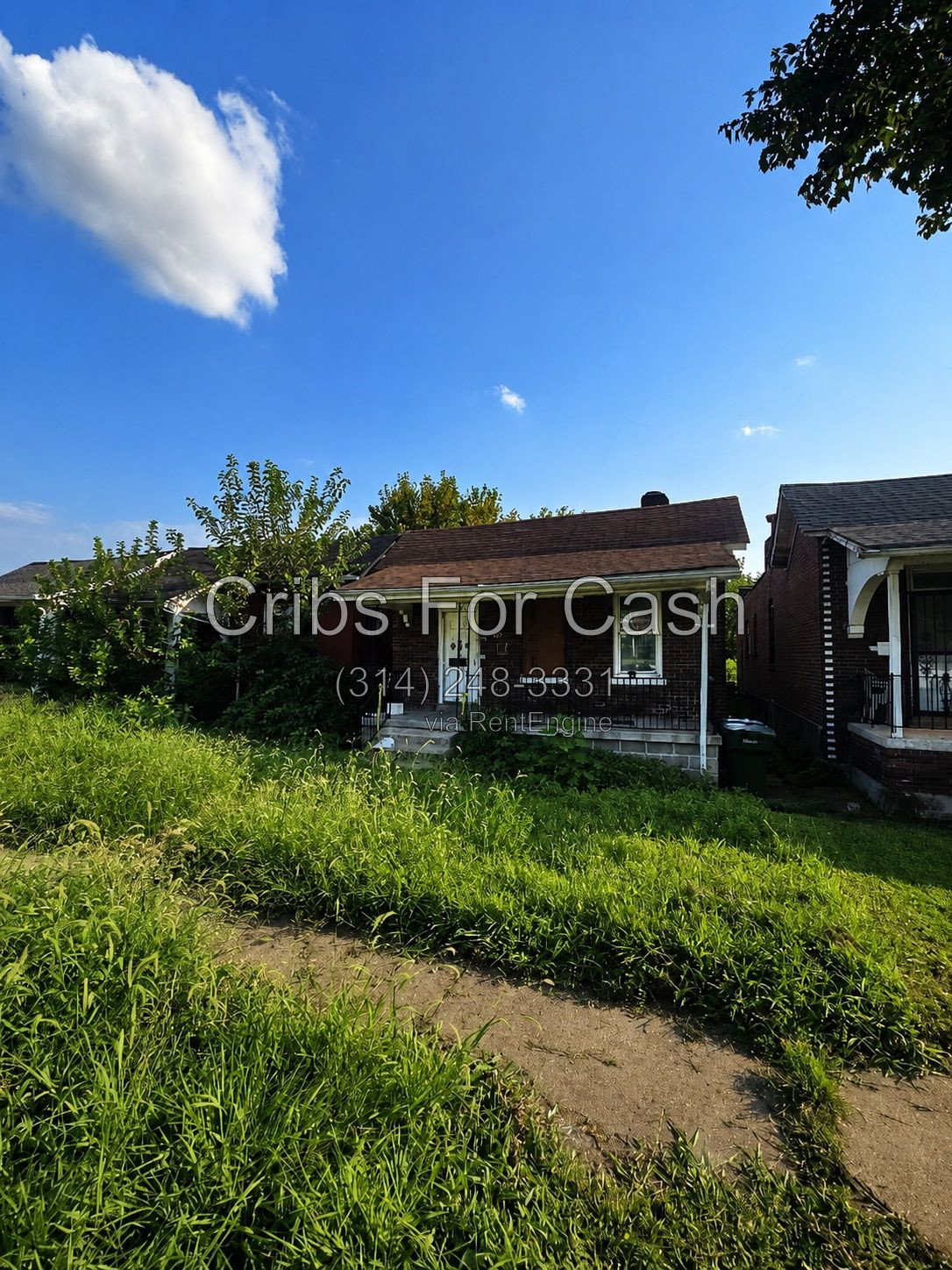 Gallery Image 0