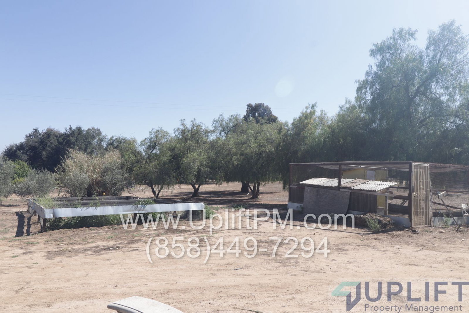 Gallery Image 16