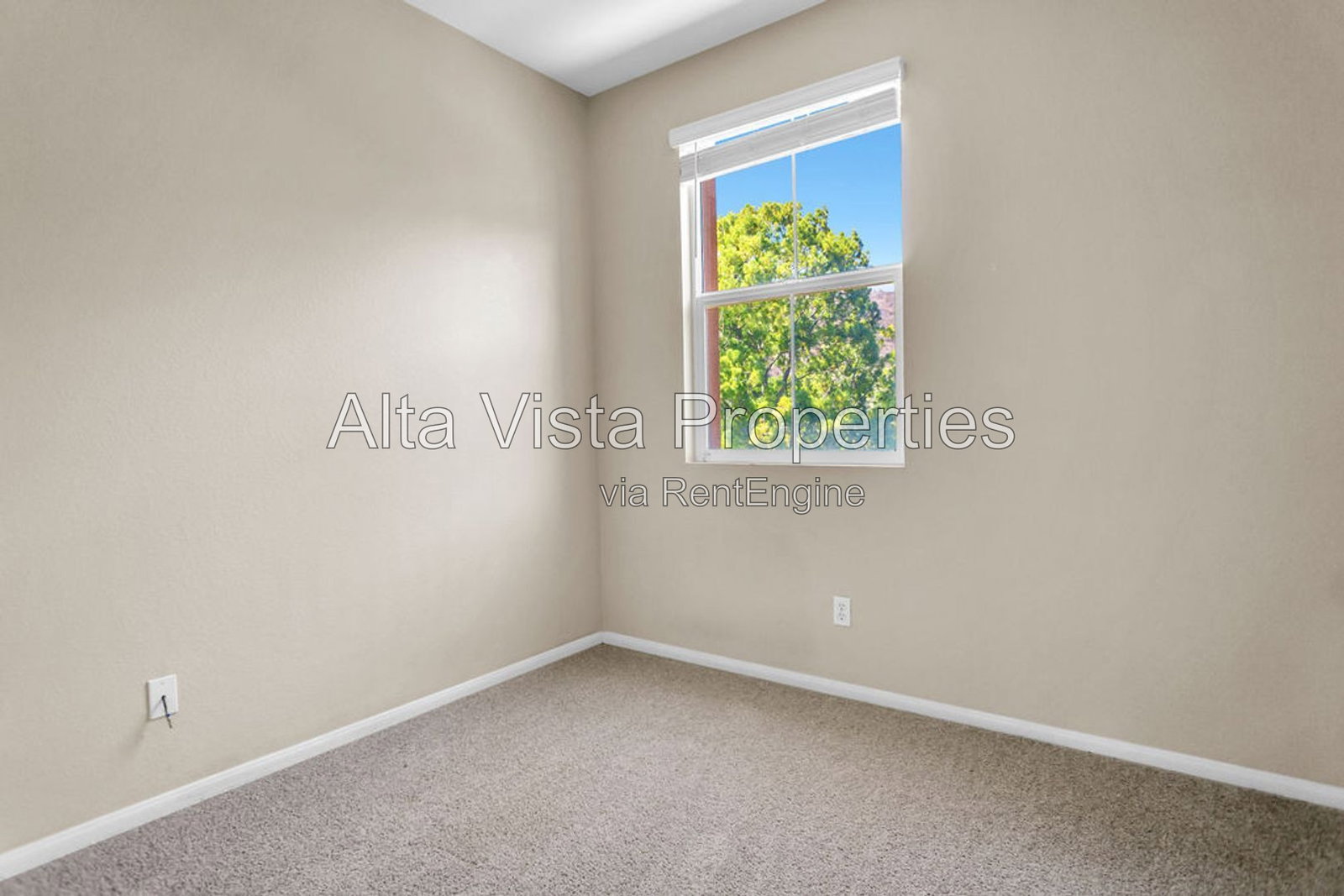 Gallery Image 19