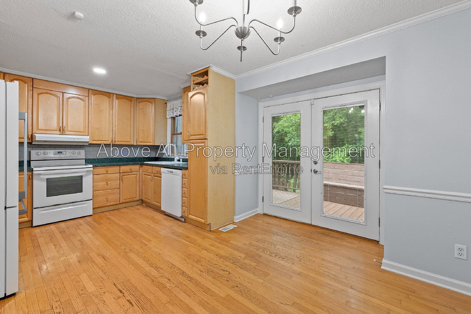 Gallery Image 19