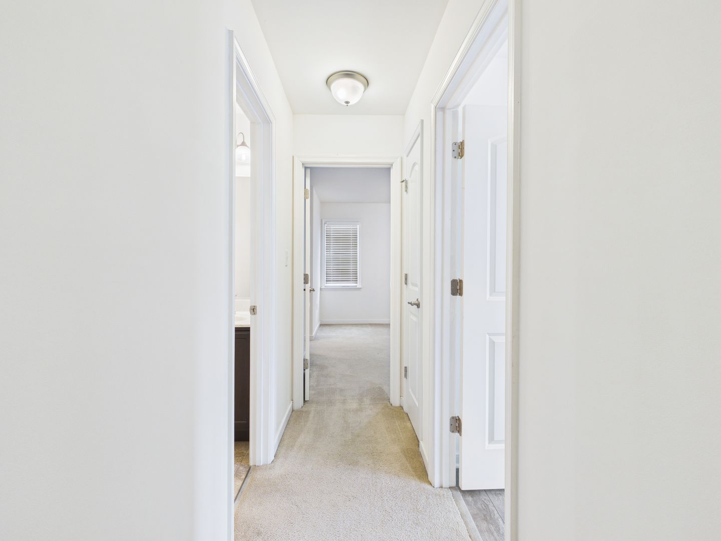 Gallery Image 20