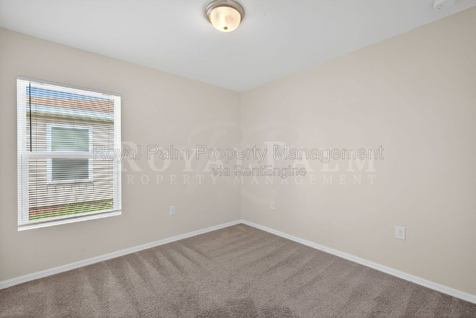 Gallery Image 19