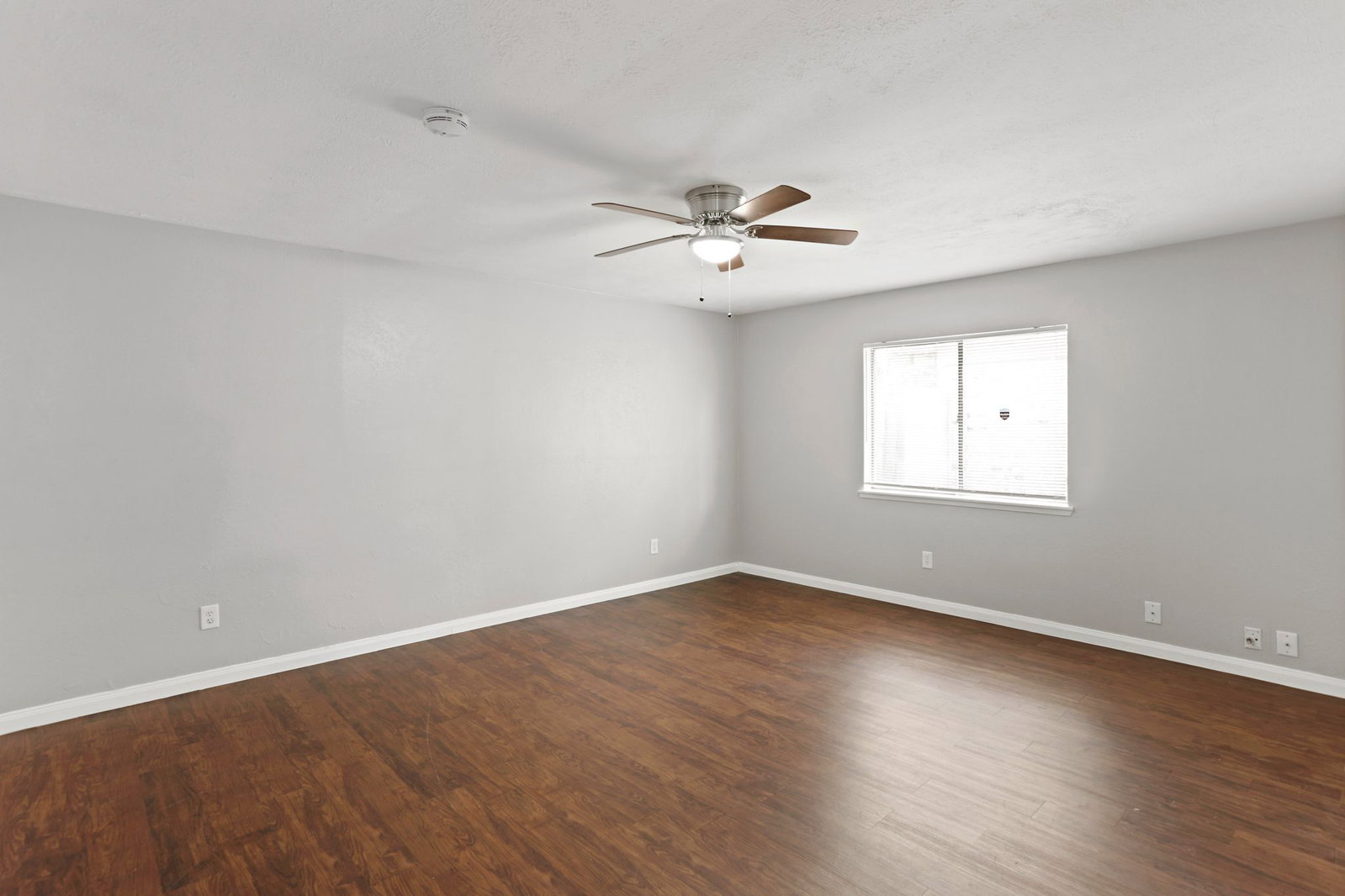 Gallery Image 14