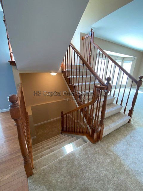 Gallery Image 33