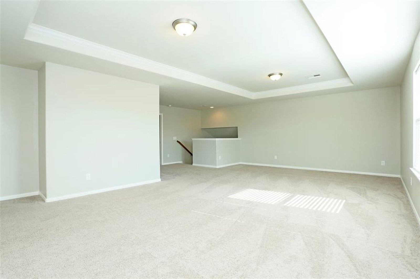 Gallery Image 19