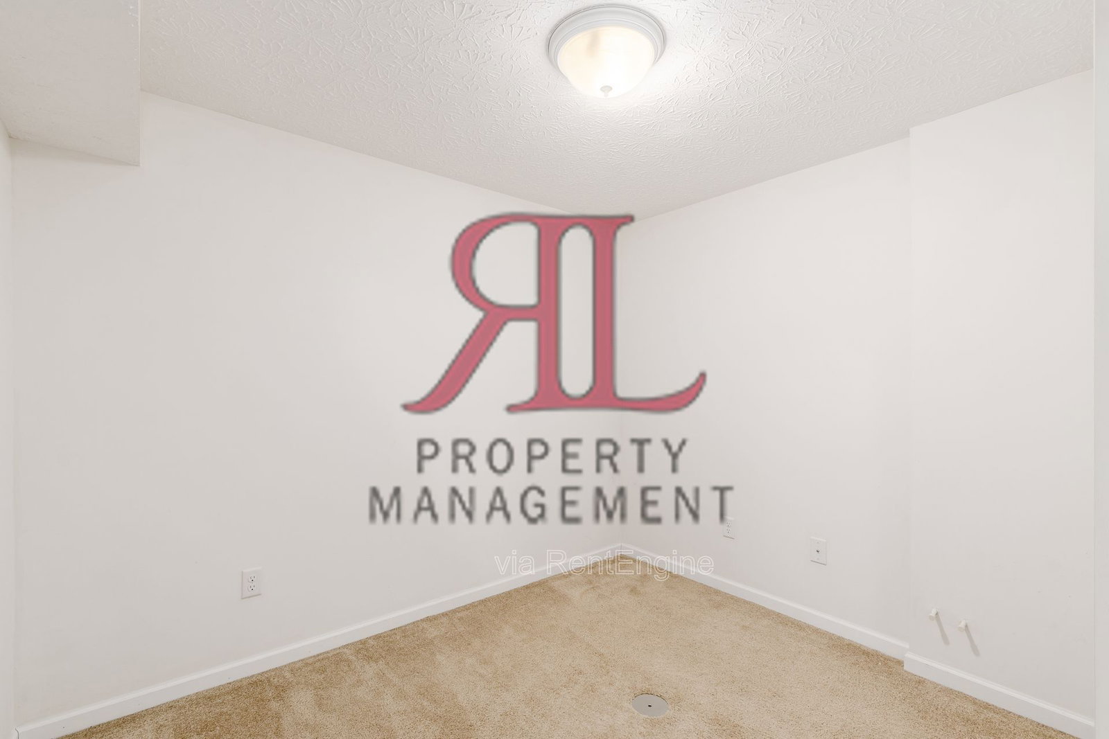 Gallery Image 20