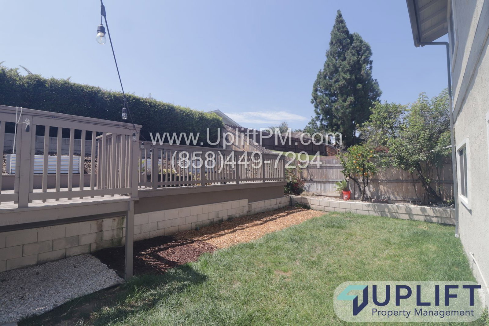 Gallery Image 25