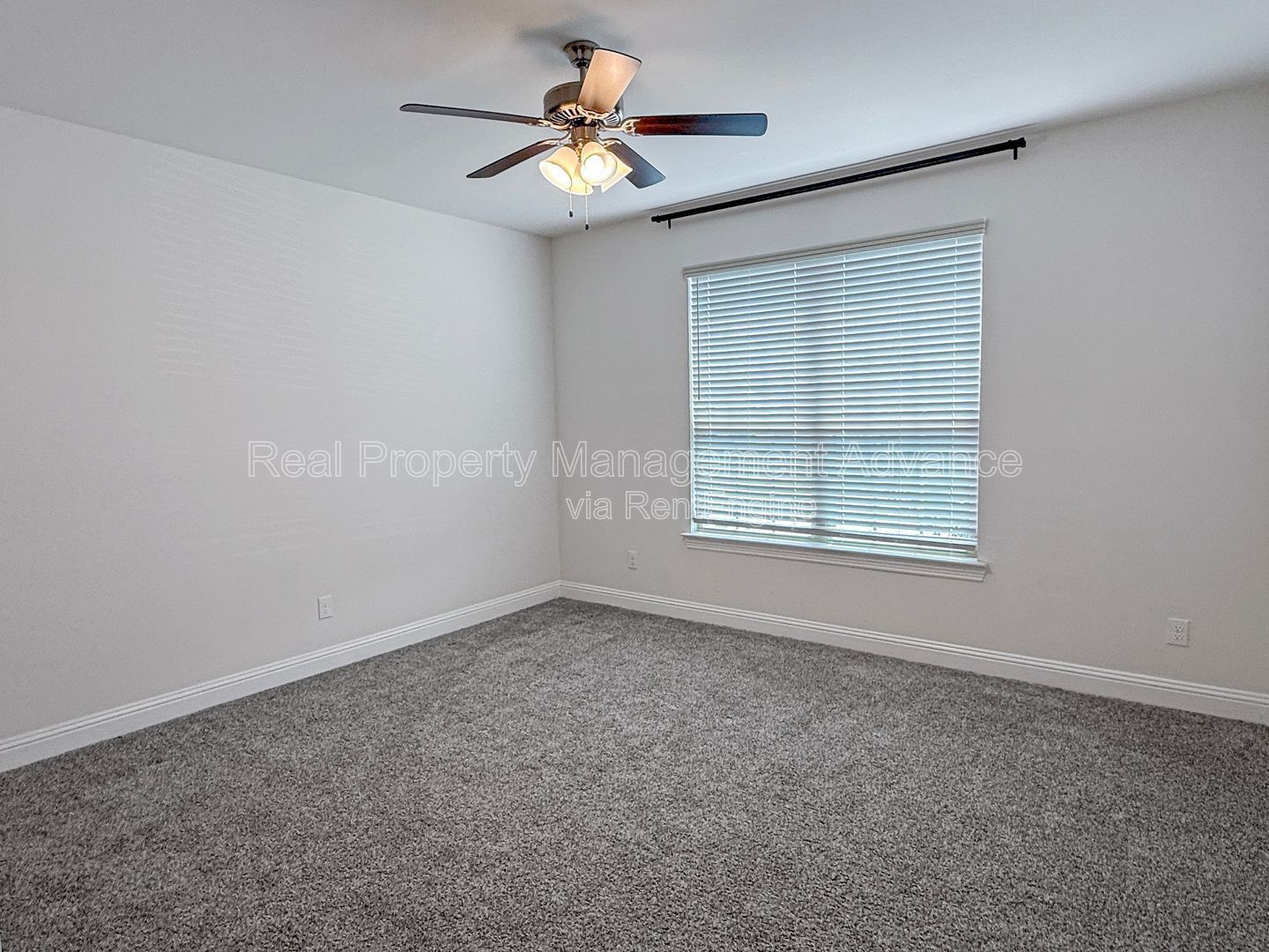 Gallery Image 19