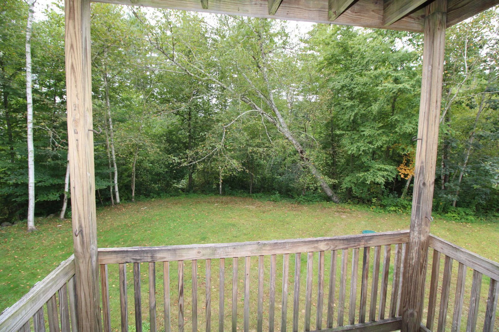 Gallery Image 15