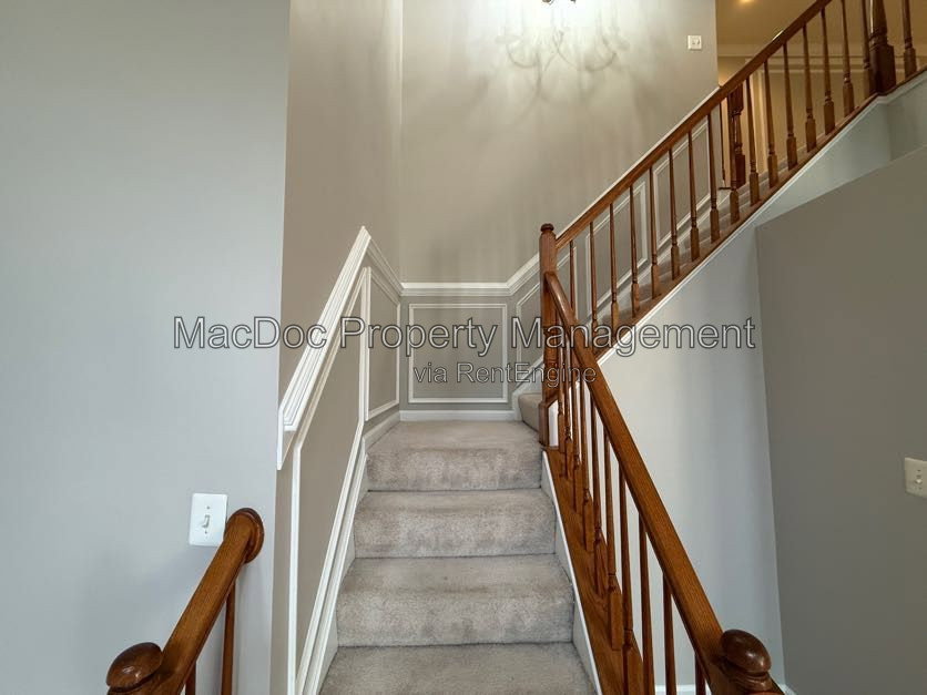 Gallery Image 41