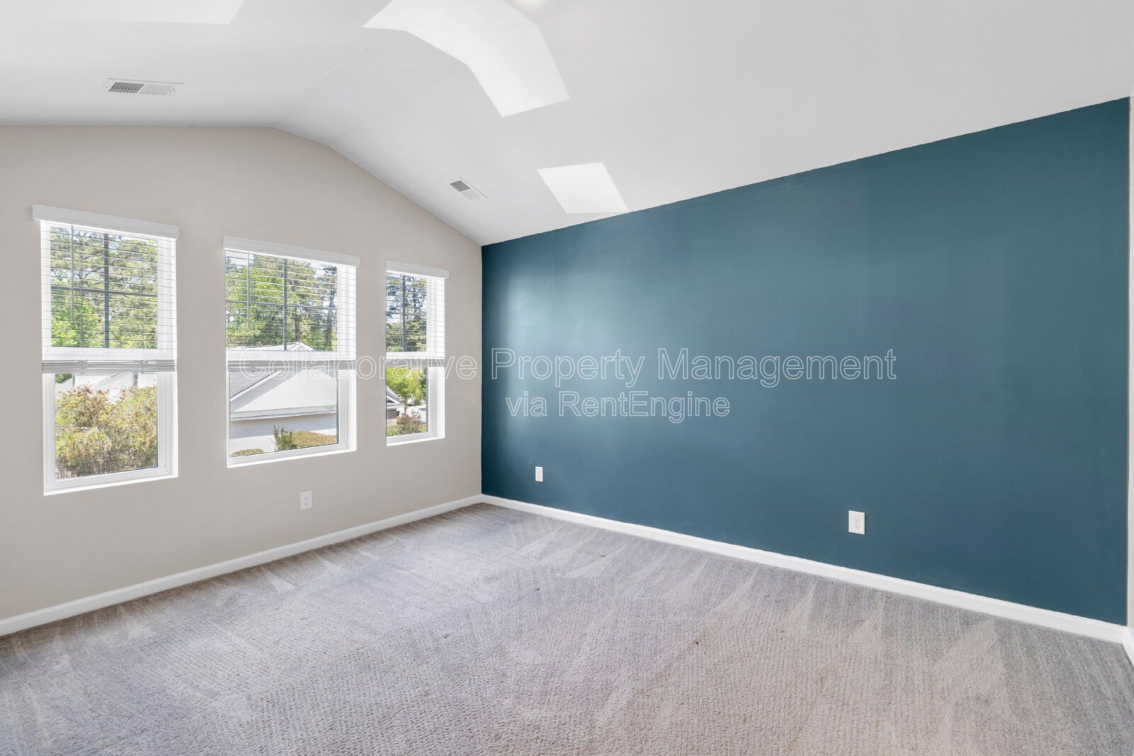 Gallery Image 16