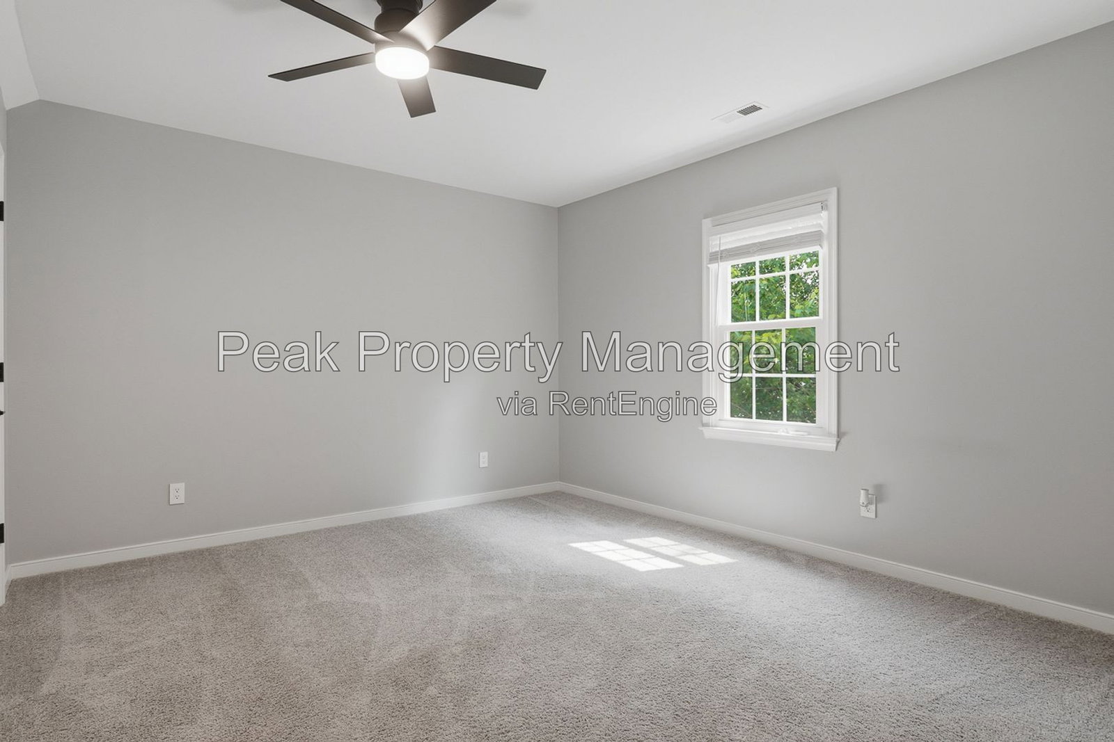 Gallery Image 20
