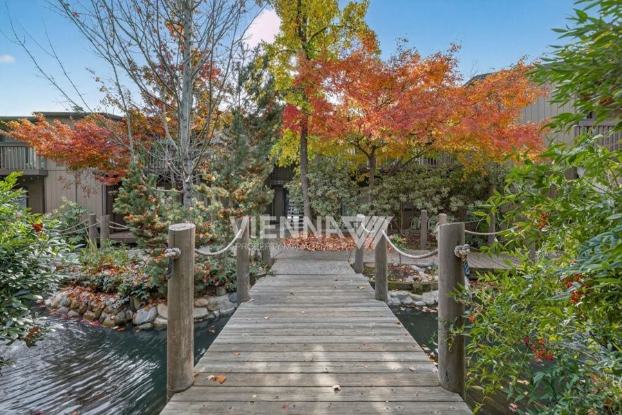 Gallery Image 24