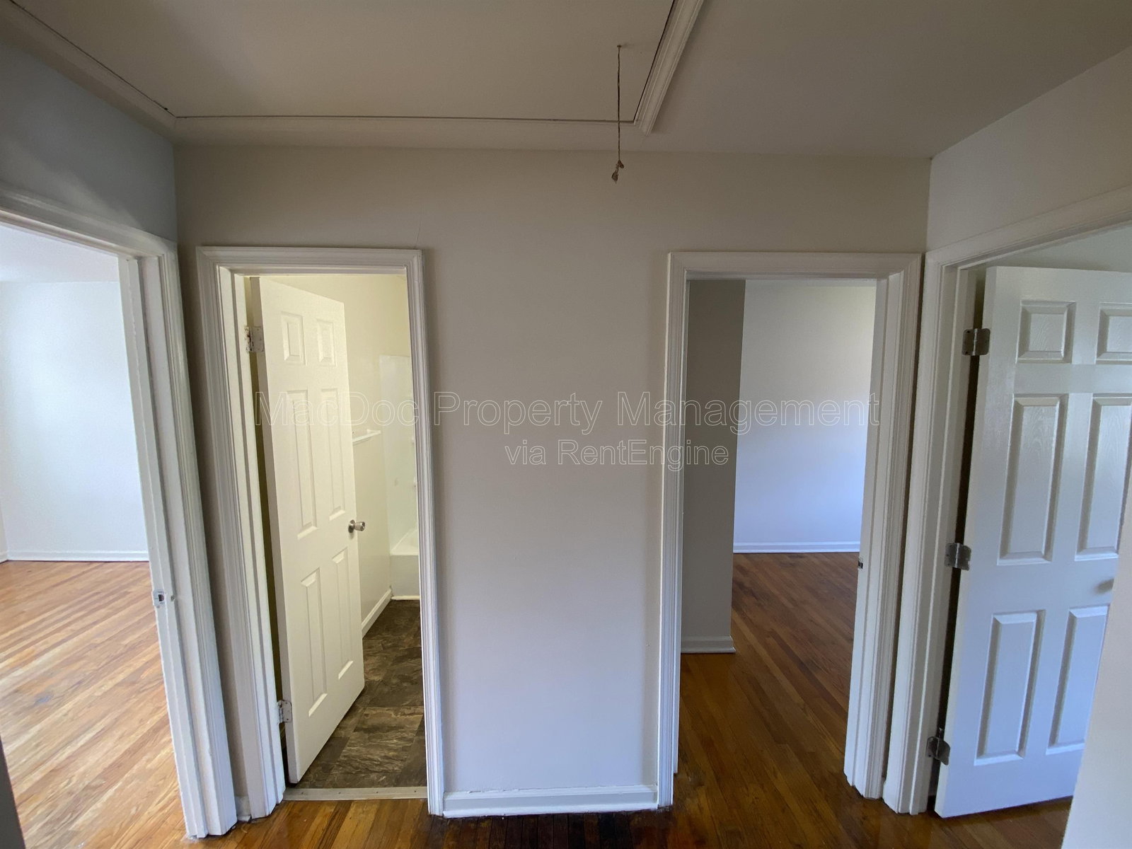 Gallery Image 15