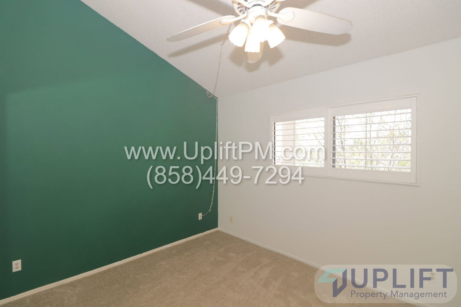 Gallery Image 35