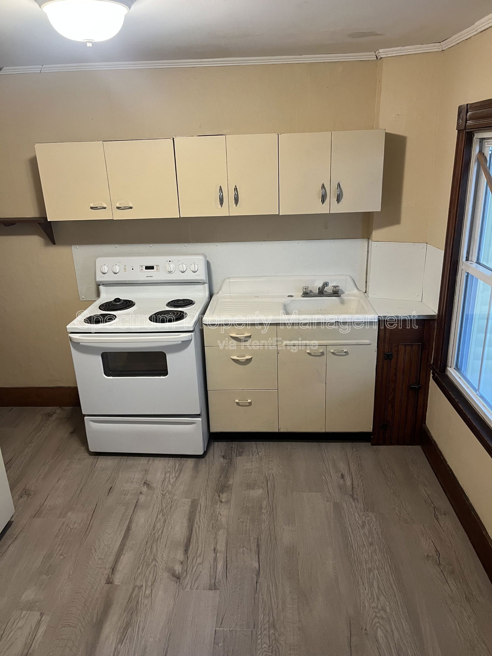 Gallery Image 0
