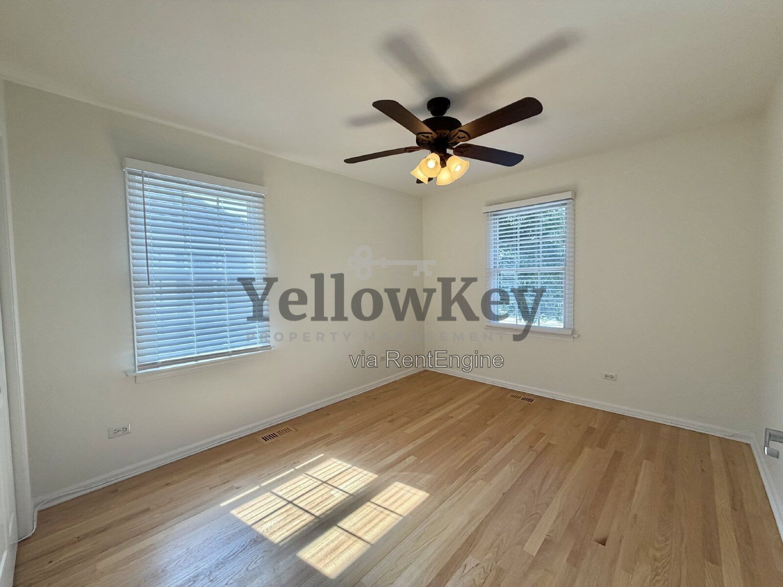Gallery Image 19