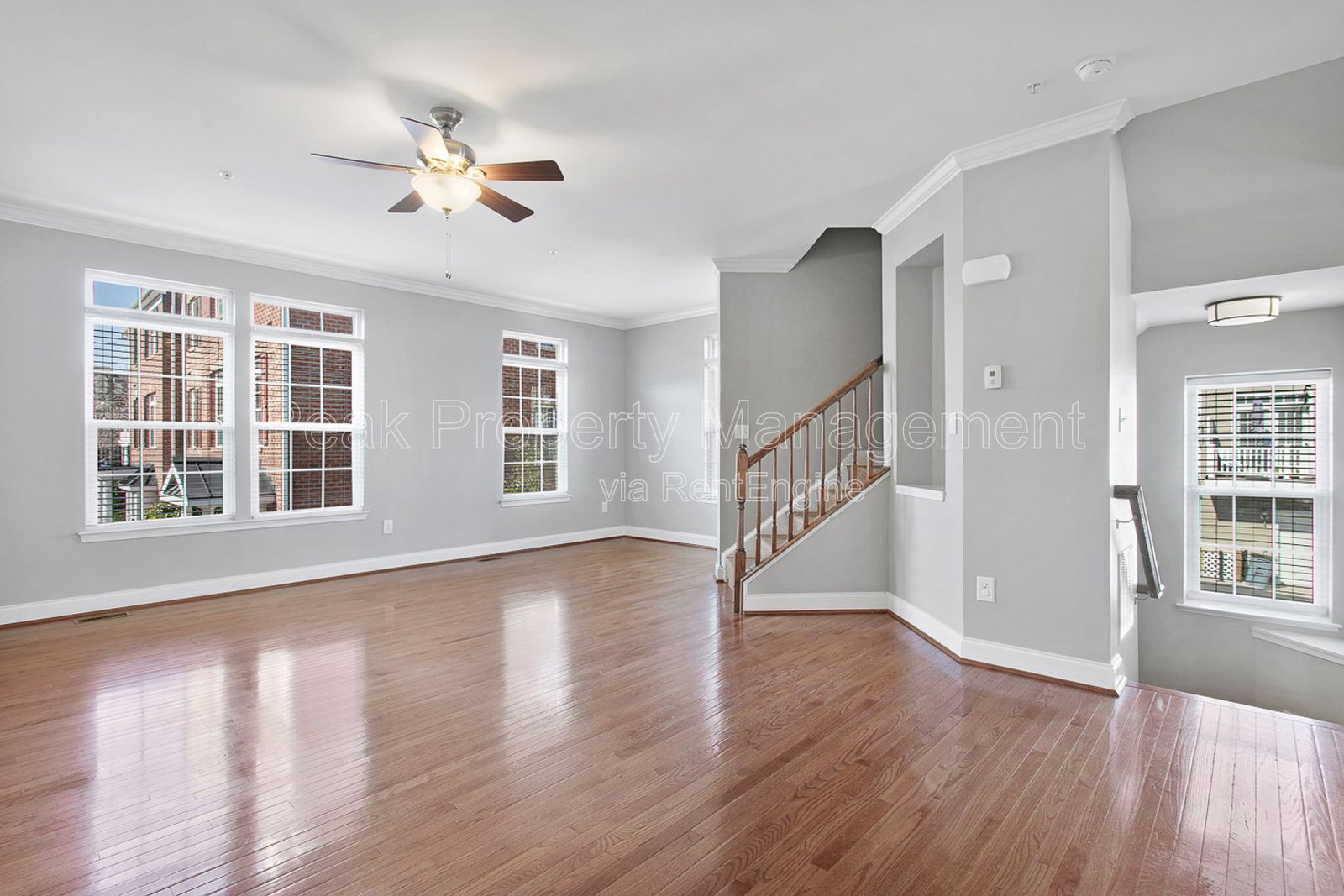 Gallery Image 11