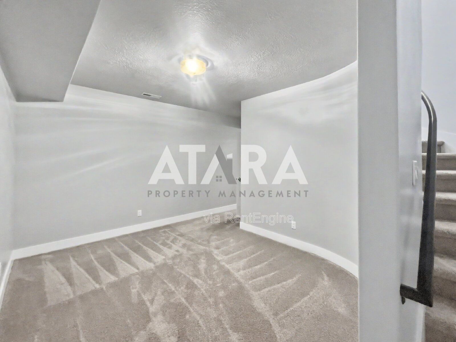 Gallery Image 50