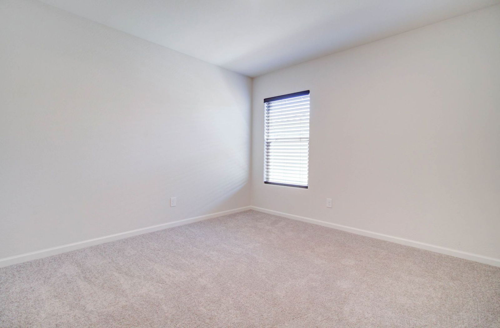 Gallery Image 20