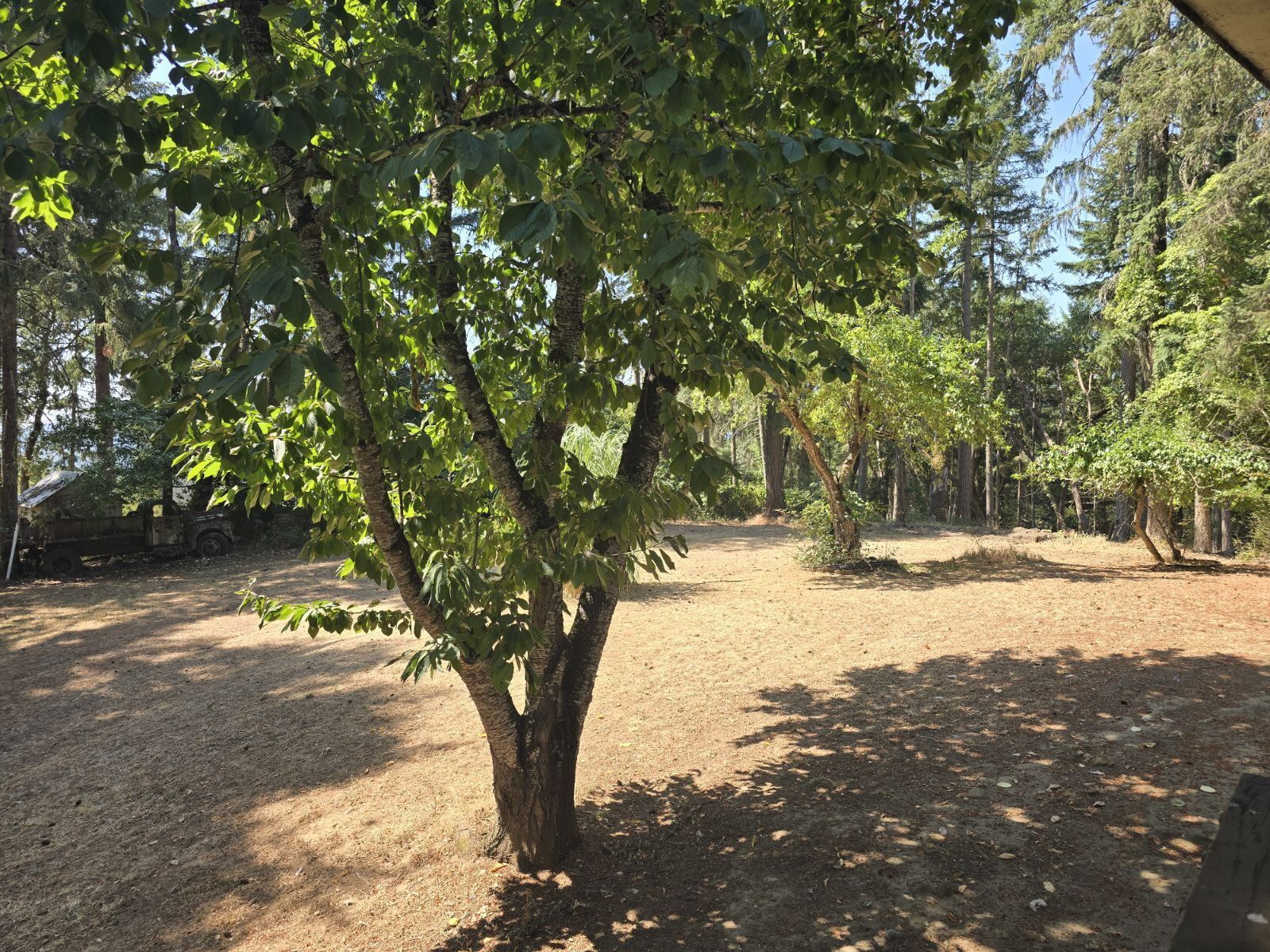 Gallery Image 18