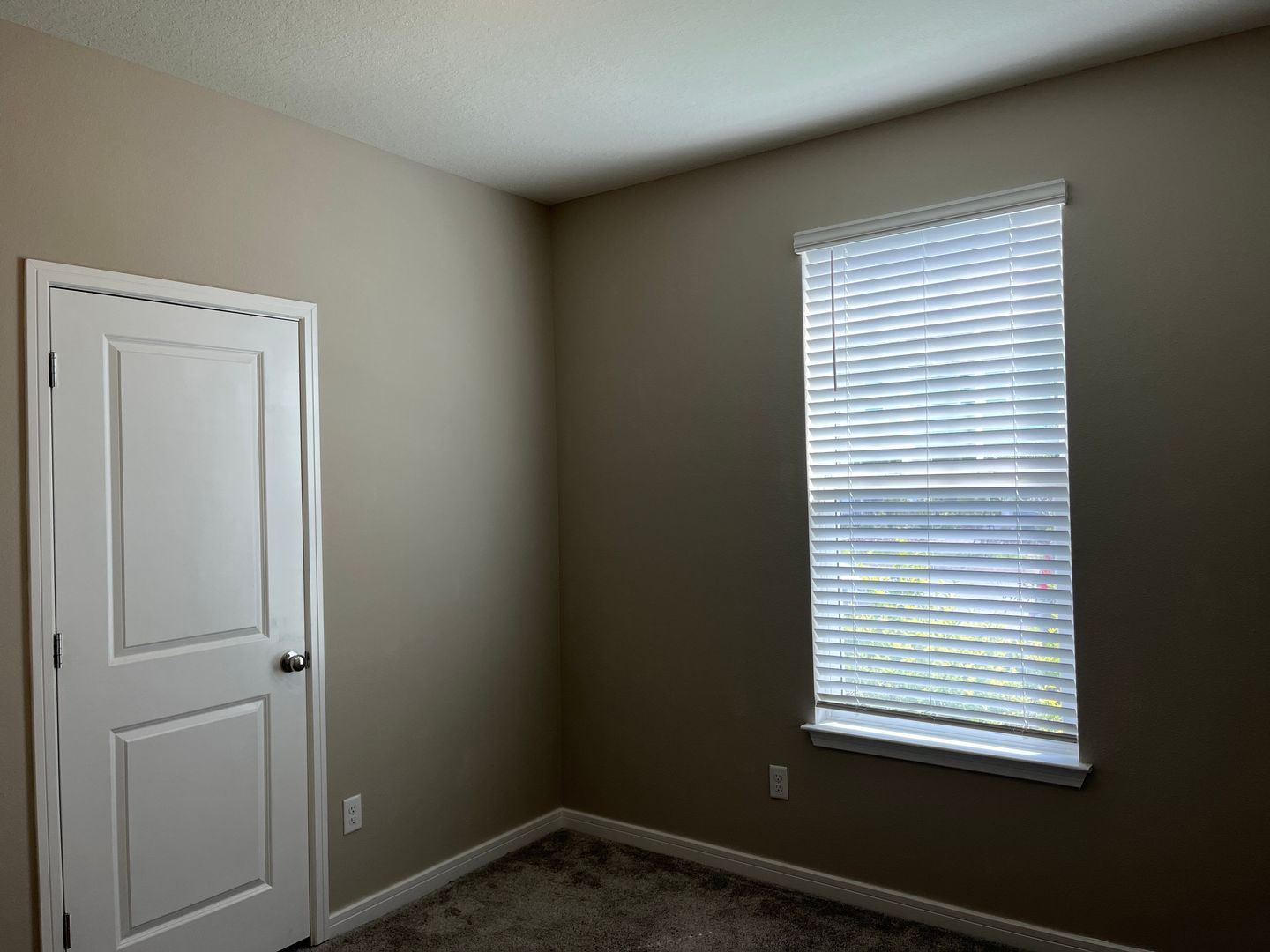 Gallery Image 19