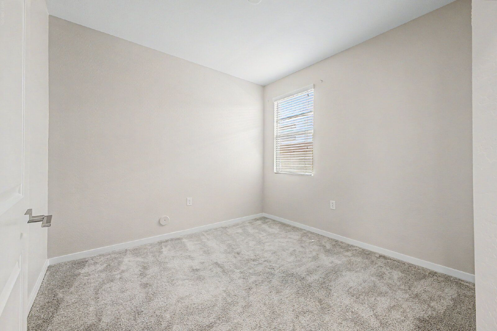 Gallery Image 20