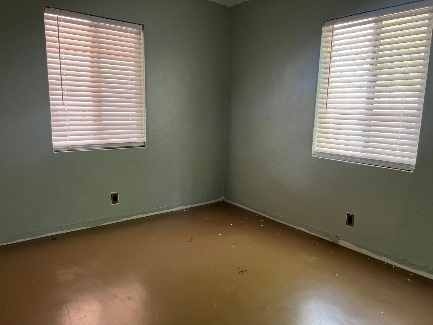 Gallery Image 6