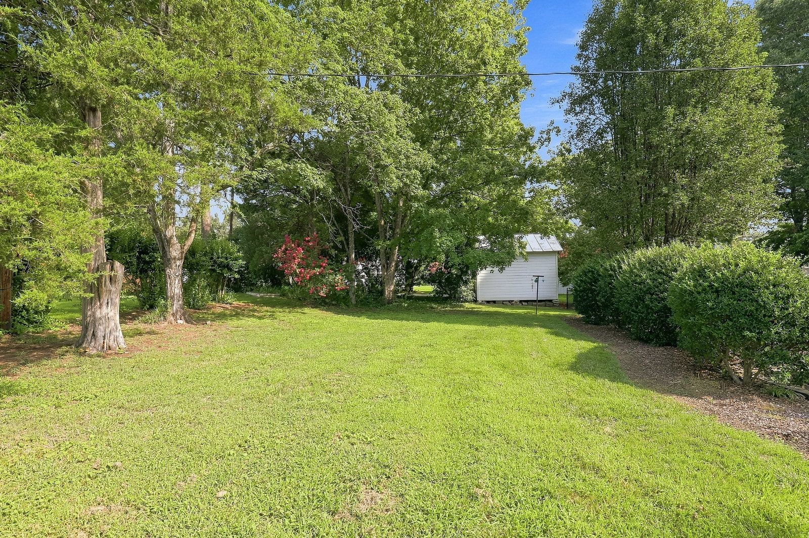 Gallery Image 16