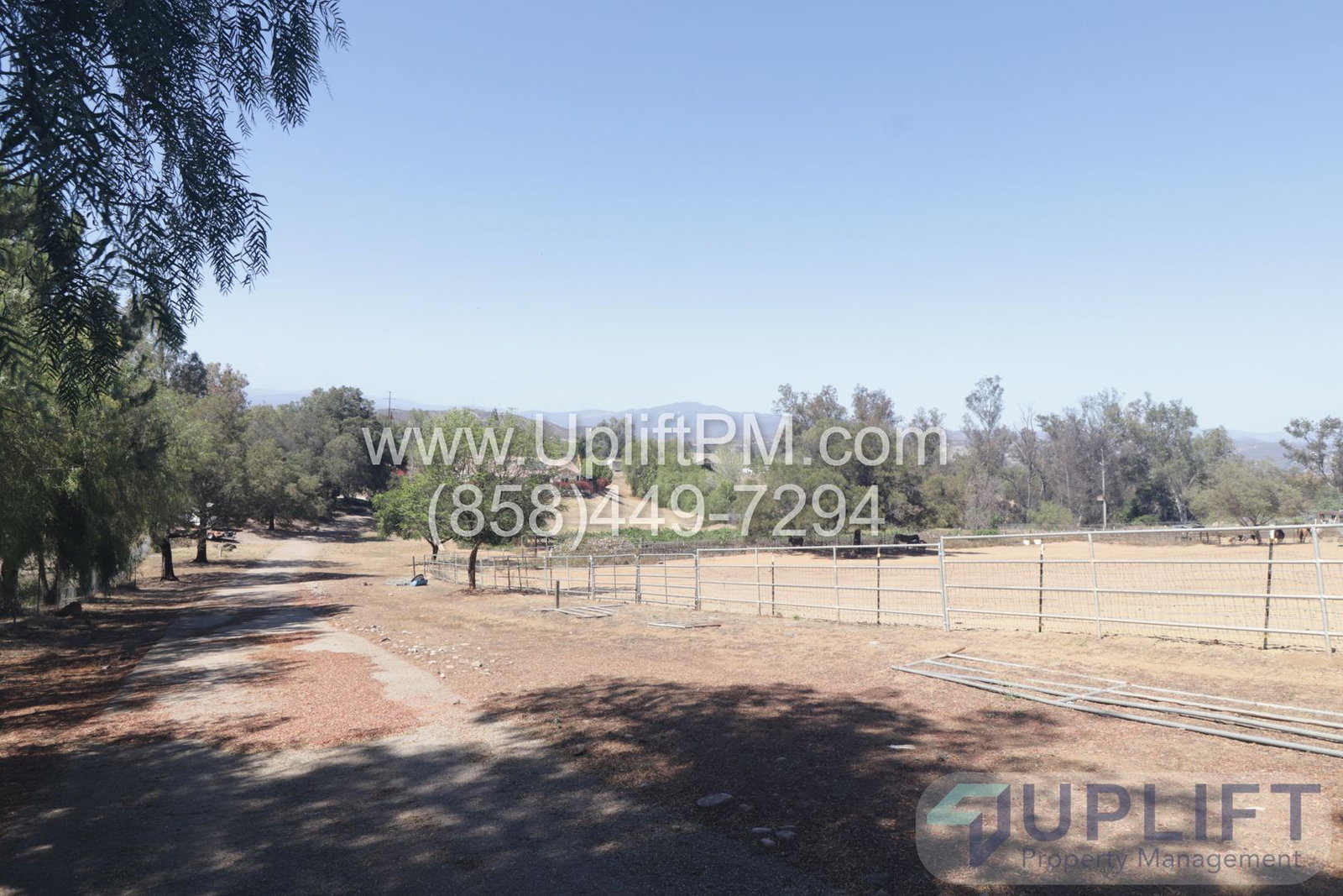 Gallery Image 21
