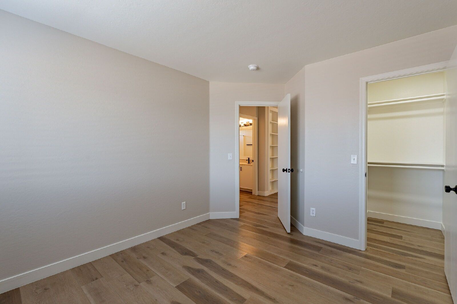 Gallery Image 41
