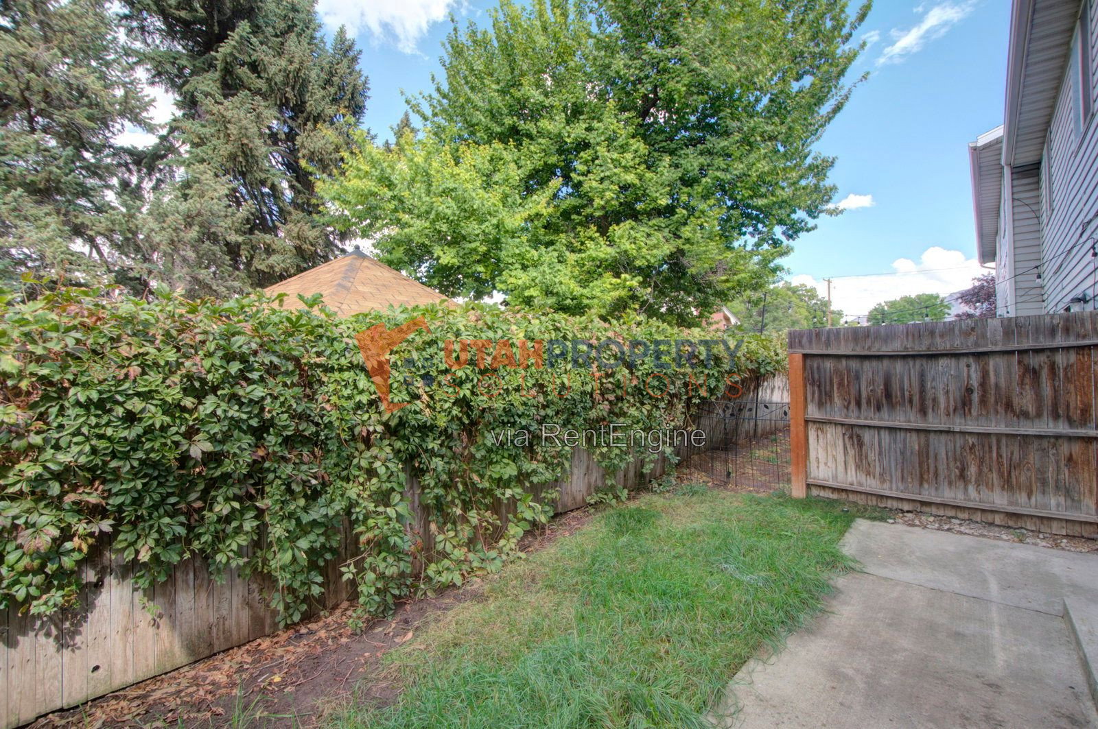 Gallery Image 17