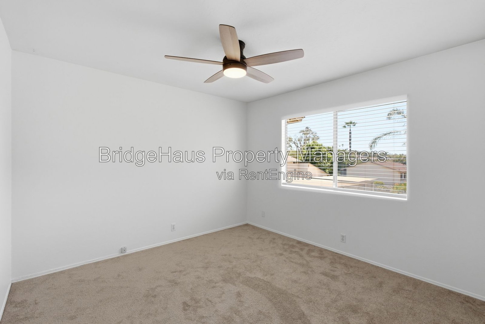 Gallery Image 30