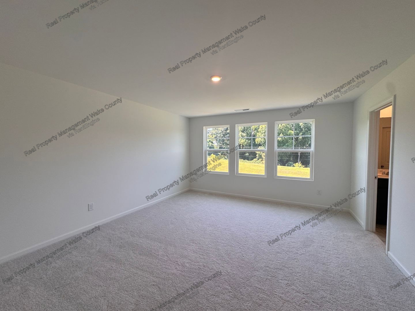 Gallery Image 19
