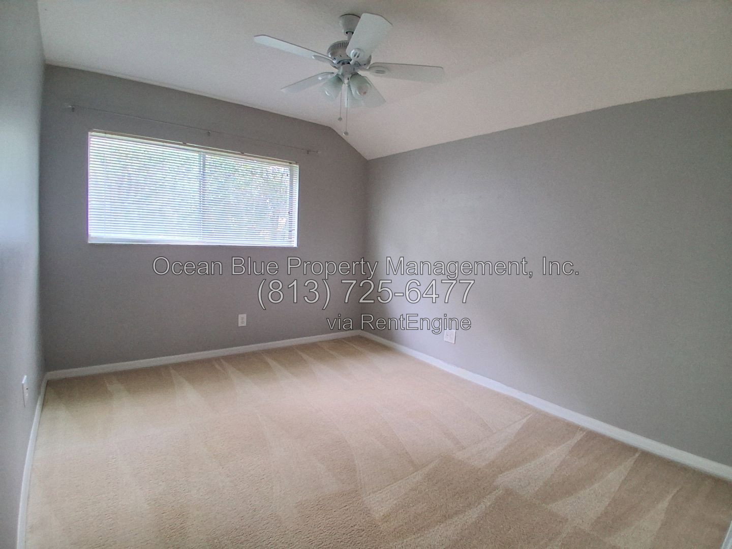 Gallery Image 19