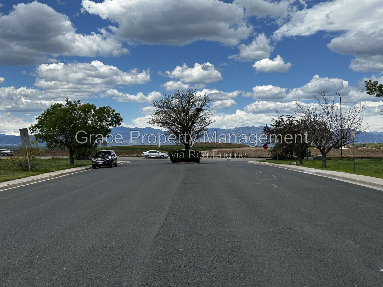 Gallery Image 15