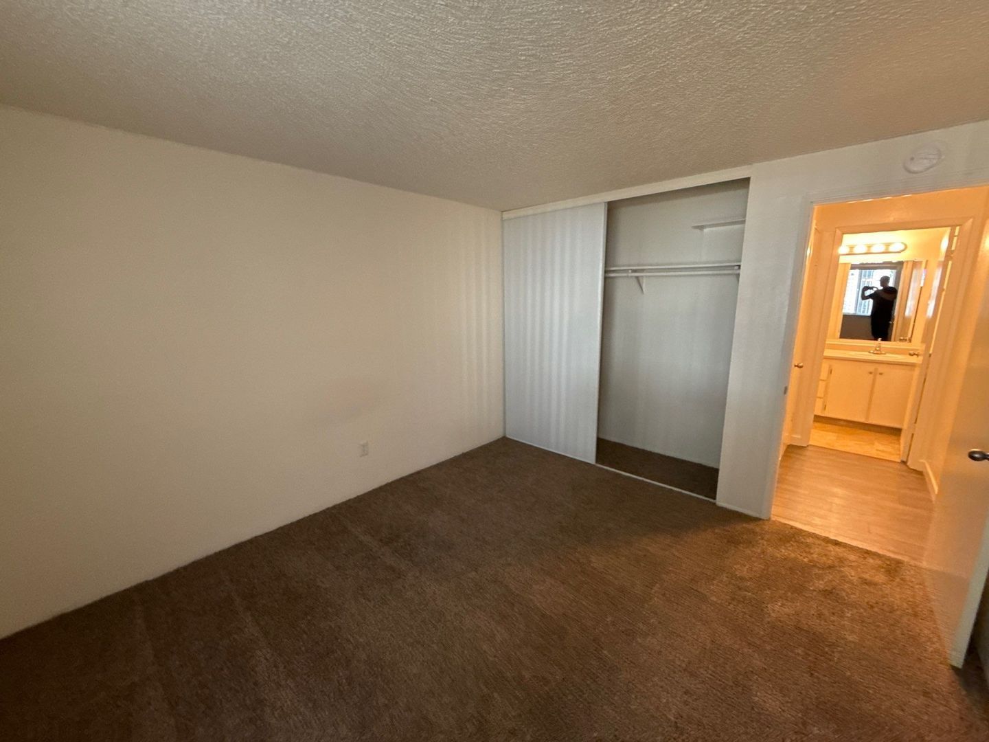 Gallery Image 19