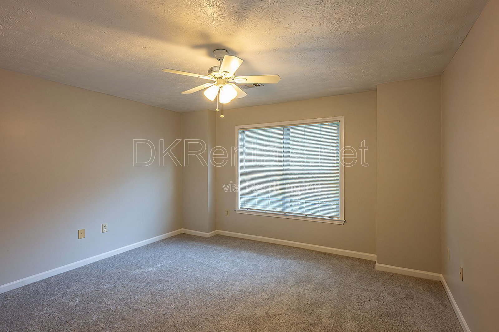 Gallery Image 22