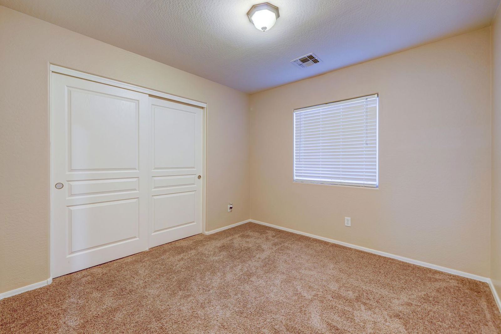 Gallery Image 20
