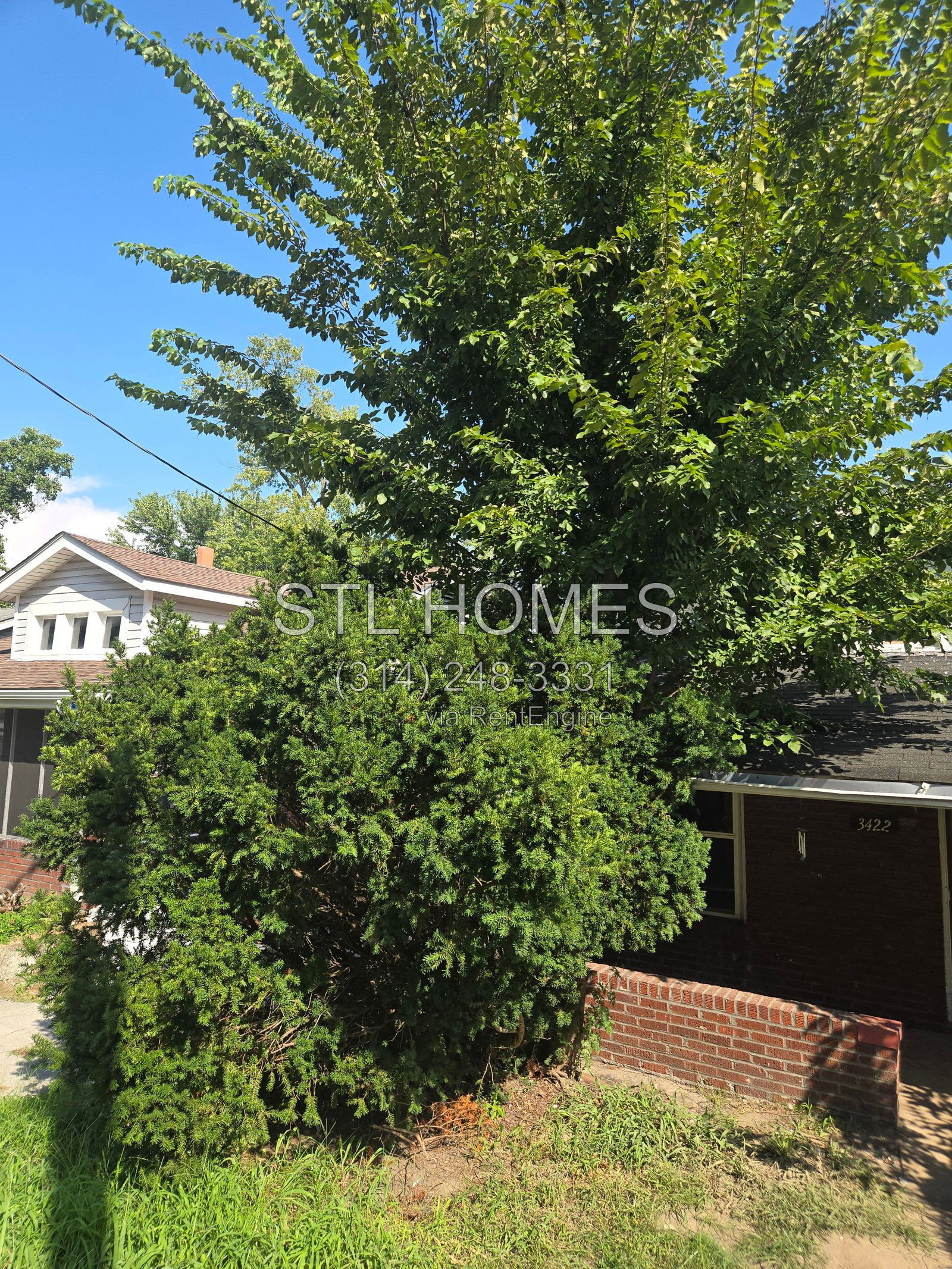 Gallery Image 14