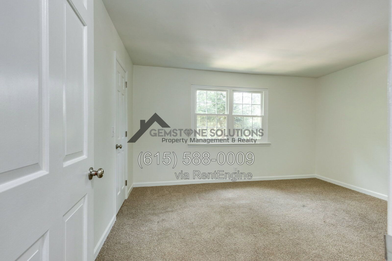 Gallery Image 19