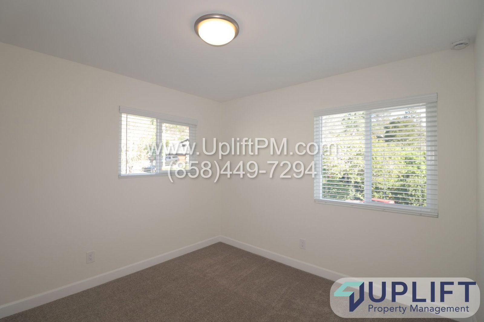 Gallery Image 19