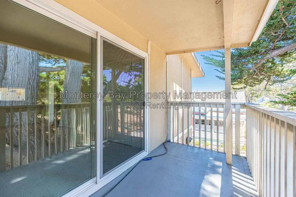 Gallery Image 16