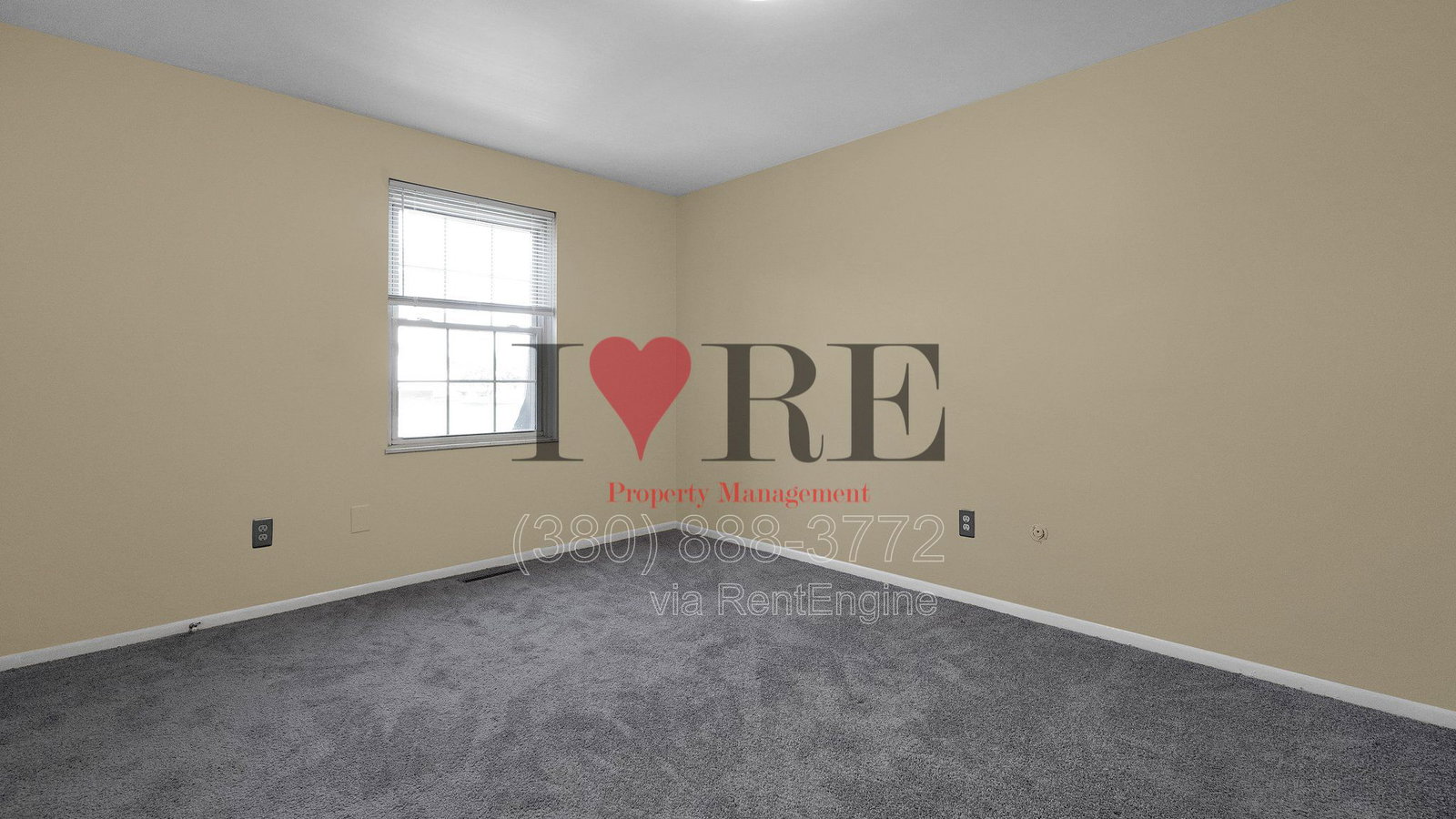 Gallery Image 16