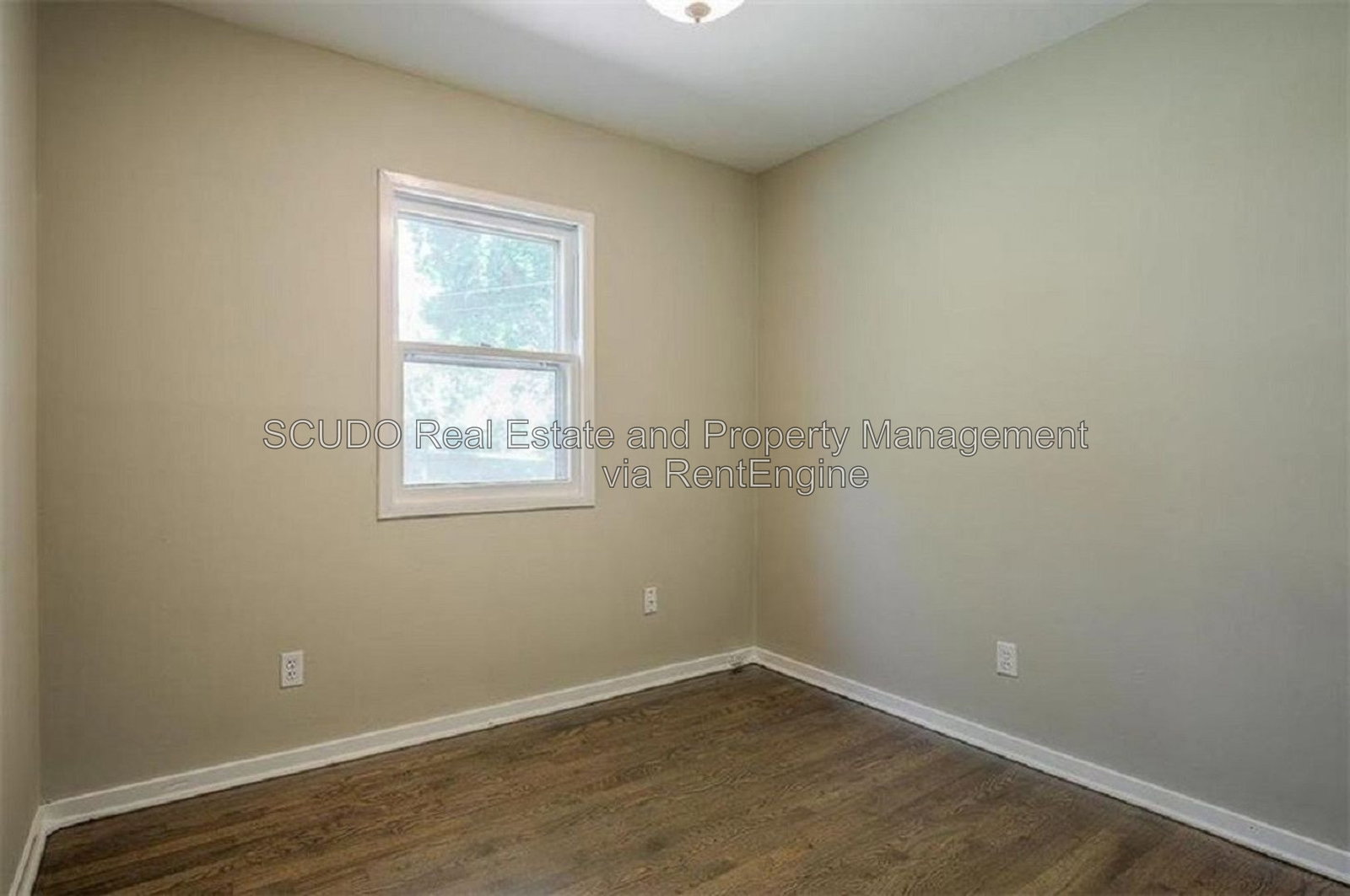 Gallery Image 8